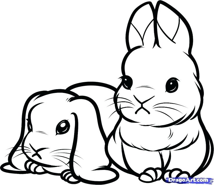 736x637 Easy Bunny Drawings Drawing A Rabbit Cartoon Easy To Draw Easter