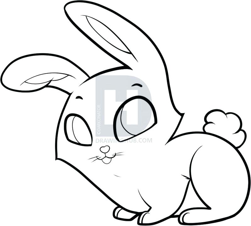 798x720 rabbit drawing rabbit drawing rabbit drawing cute