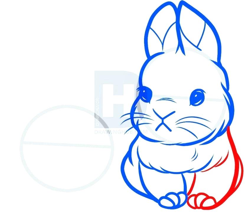 830x720 How To Draw A Bunny Step
