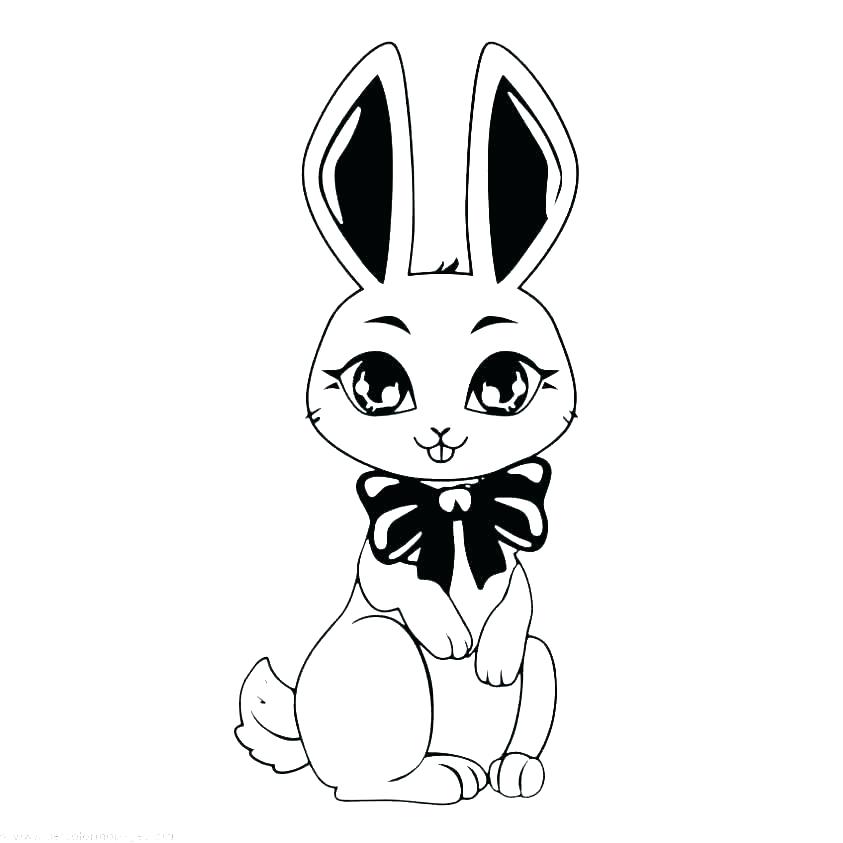 843x843 Rabbit Color Pages Bunny Coloring