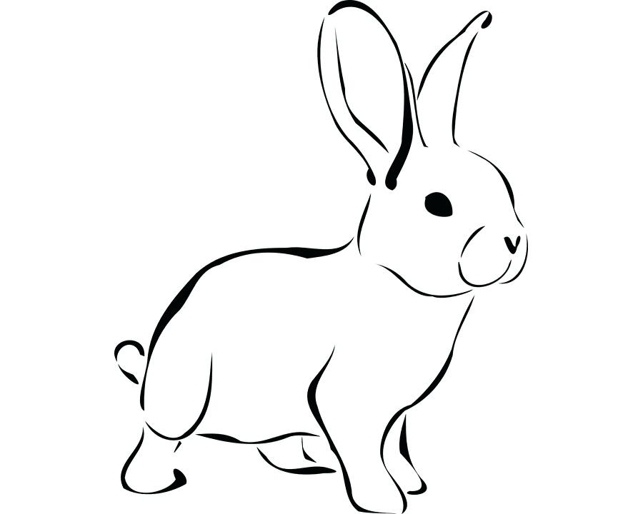 900x720 Easter Bunny Drawing