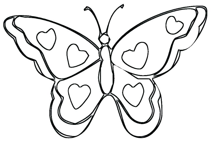 850x567 Cute Butterflies Drawings For Kids