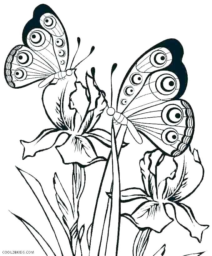 678x820 Cute Butterfly Coloring Pages Yuvarajraju Club