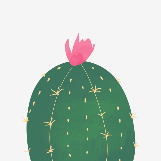 640x640 Hand Drawn Cute Big Round Cactus, Drawing, Flower, Nature Png