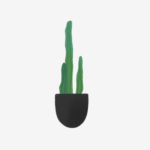 640x640 Hand Drawn Cute Home Cactus In Black Pot, Drawing, Nature, Hand
