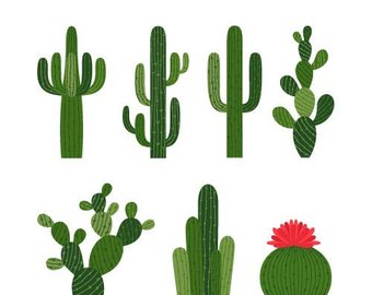340x270 Cactus Drawing Etsy