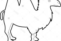 236x157 Camel Drawing Ink Online