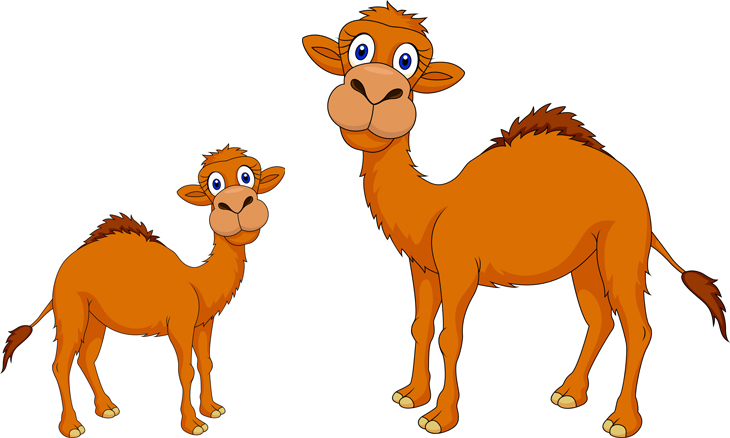 730x438 Collection Of Free Camel Drawing Cute Baby Download On Ui Ex