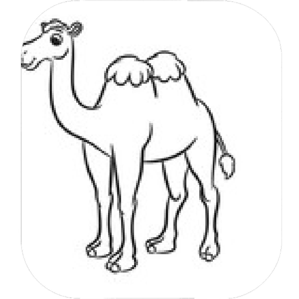 1200x1200 Designs Mein Mousepad Design Mousepad Selbst Designen