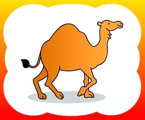 503x415 draw camel how to draw a camel how to draw a chameleon