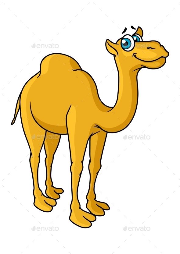 590x834 Huge Collection Of 'camel Cartoon Drawing' Download More Than