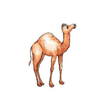 350x350 Bumblebee's Craft Shop