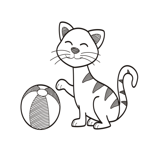 640x640 cute cat plays with ball hand drawn illustrations, cat, ball