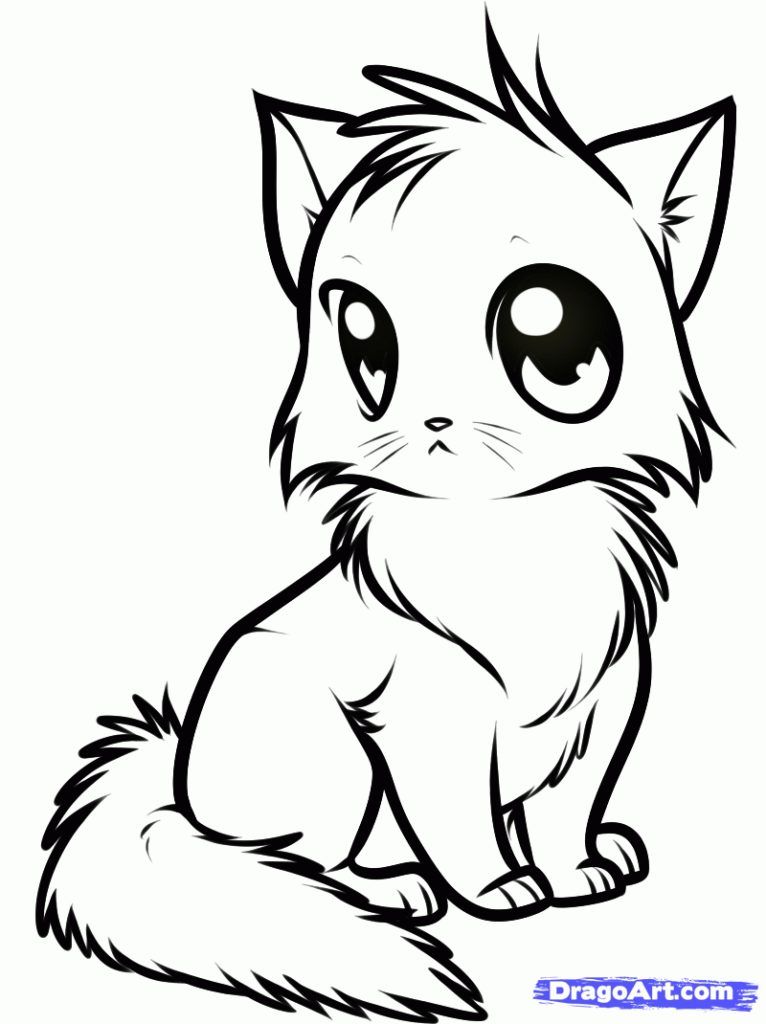 766x1024 Coloring Pages In Cat Drawing