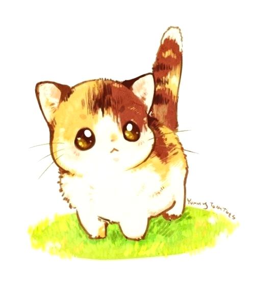 500x584 cute kitten drawings cute kitten simple cute kitten drawings