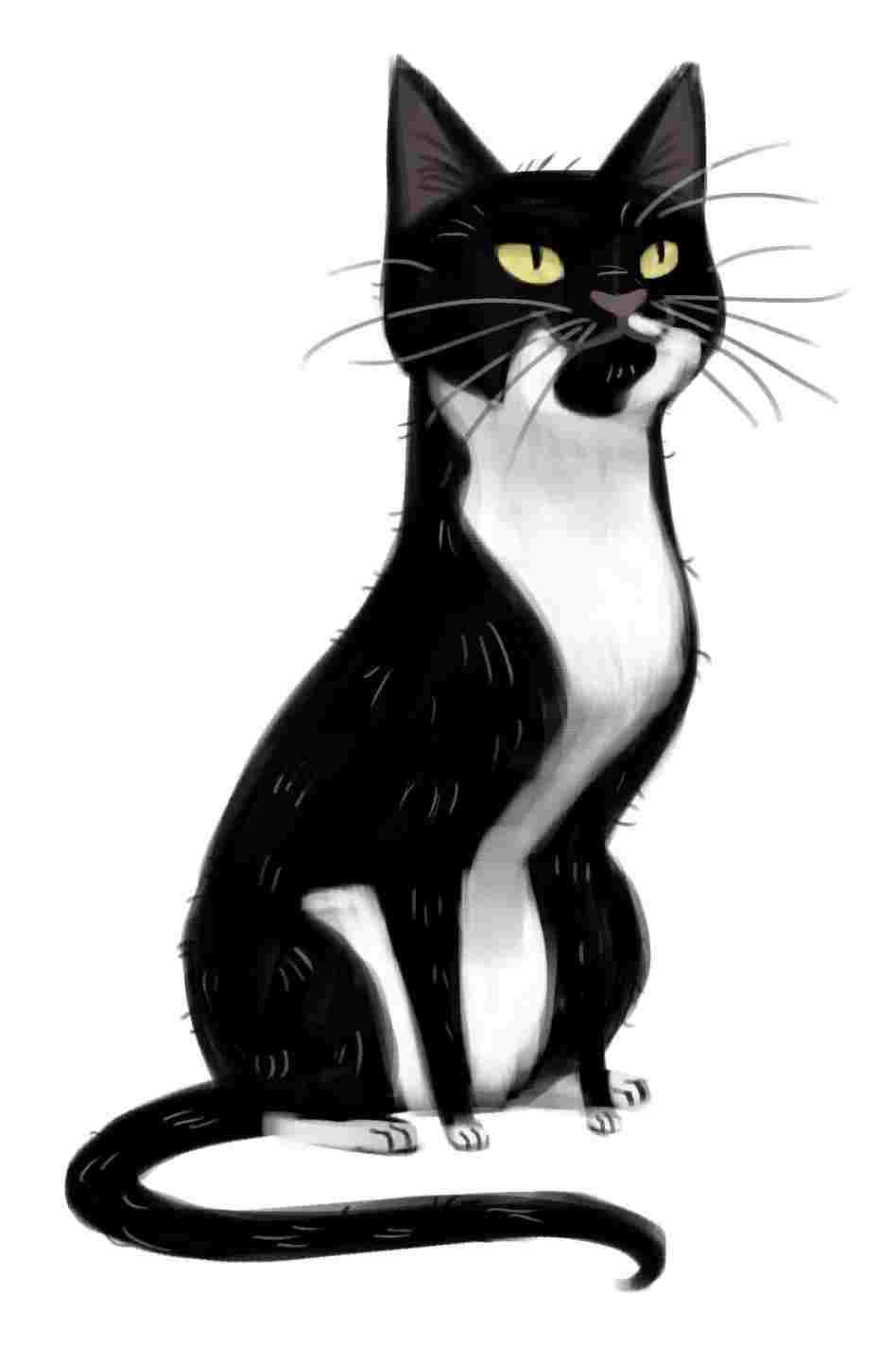 948x1422 Cute Kitty Drawing Tumblr