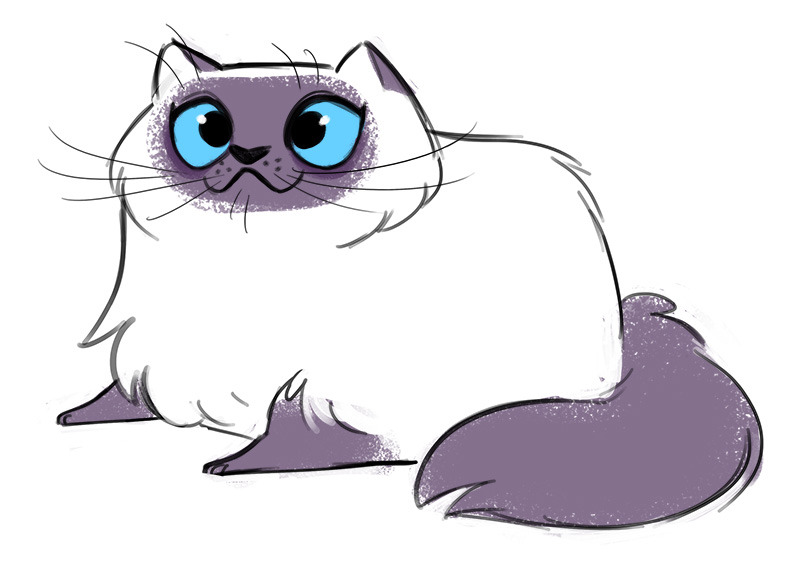 800x567 Cat Drawing Tumblr