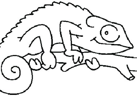 440x330 draw a chameleon chameleon draw images