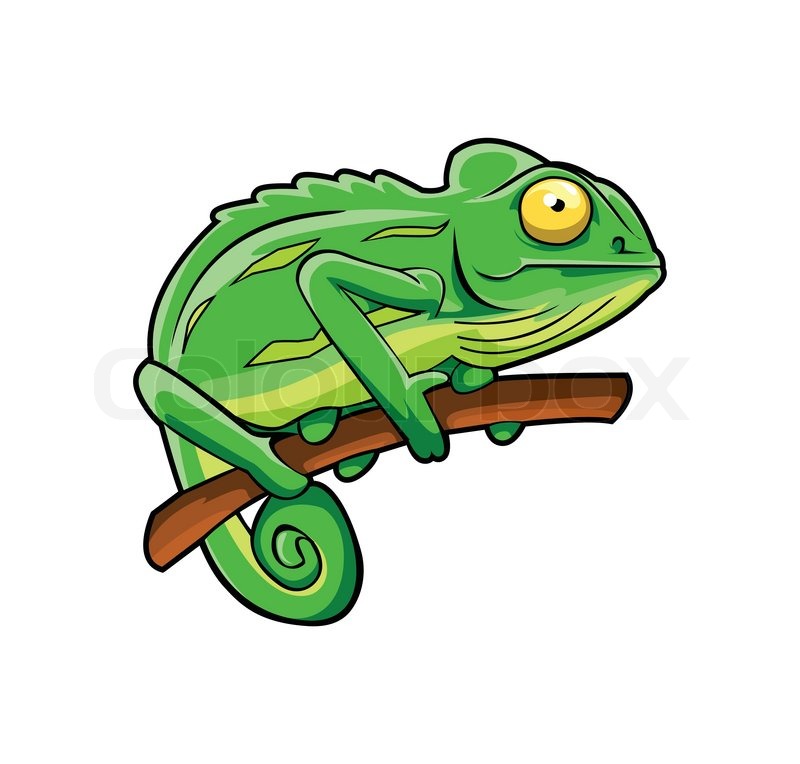 800x764 chameleon clipart cute chameleon clipart animalcarecollege history