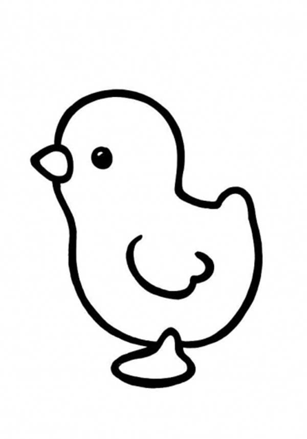 600x858 Cute Baby Chicken Coloring Pages