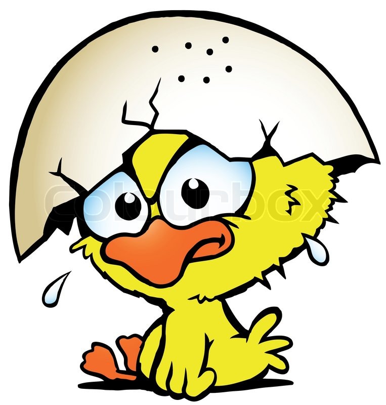 763x800 Hand Drawn Vector Illustration Of An Stock Vector Colourbox