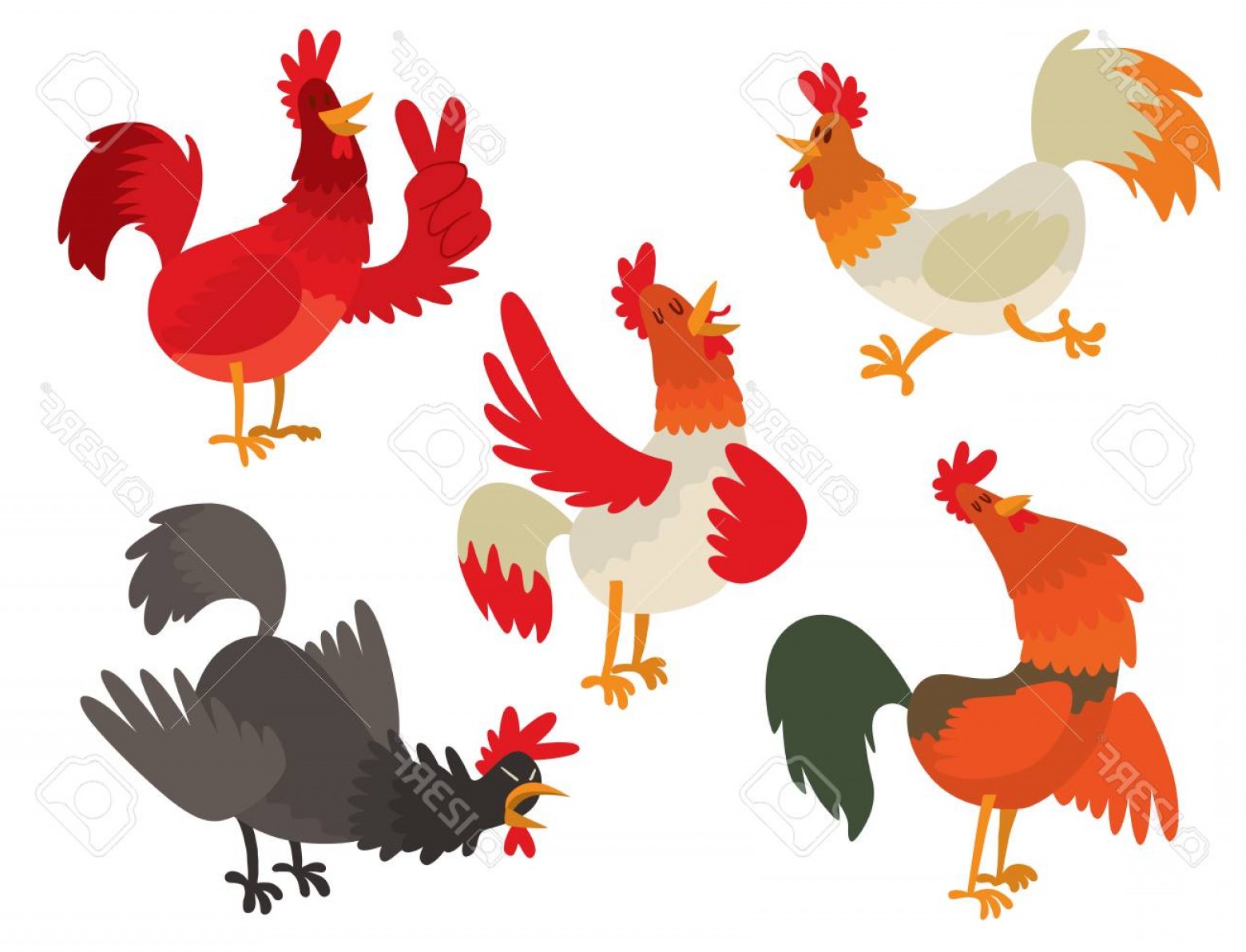 1560x1192 Vector Drawings Of Chicken Soidergi