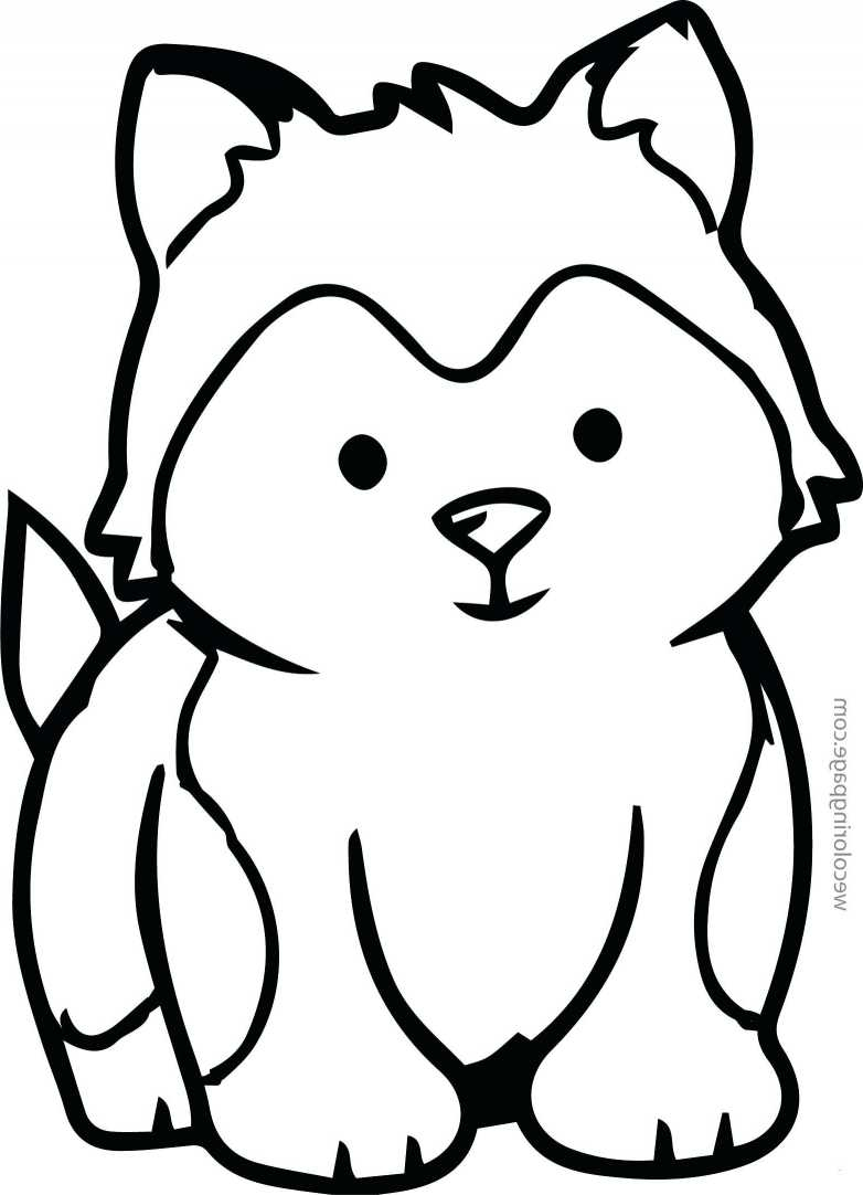 Chihuahua Pencil Coloring Pages