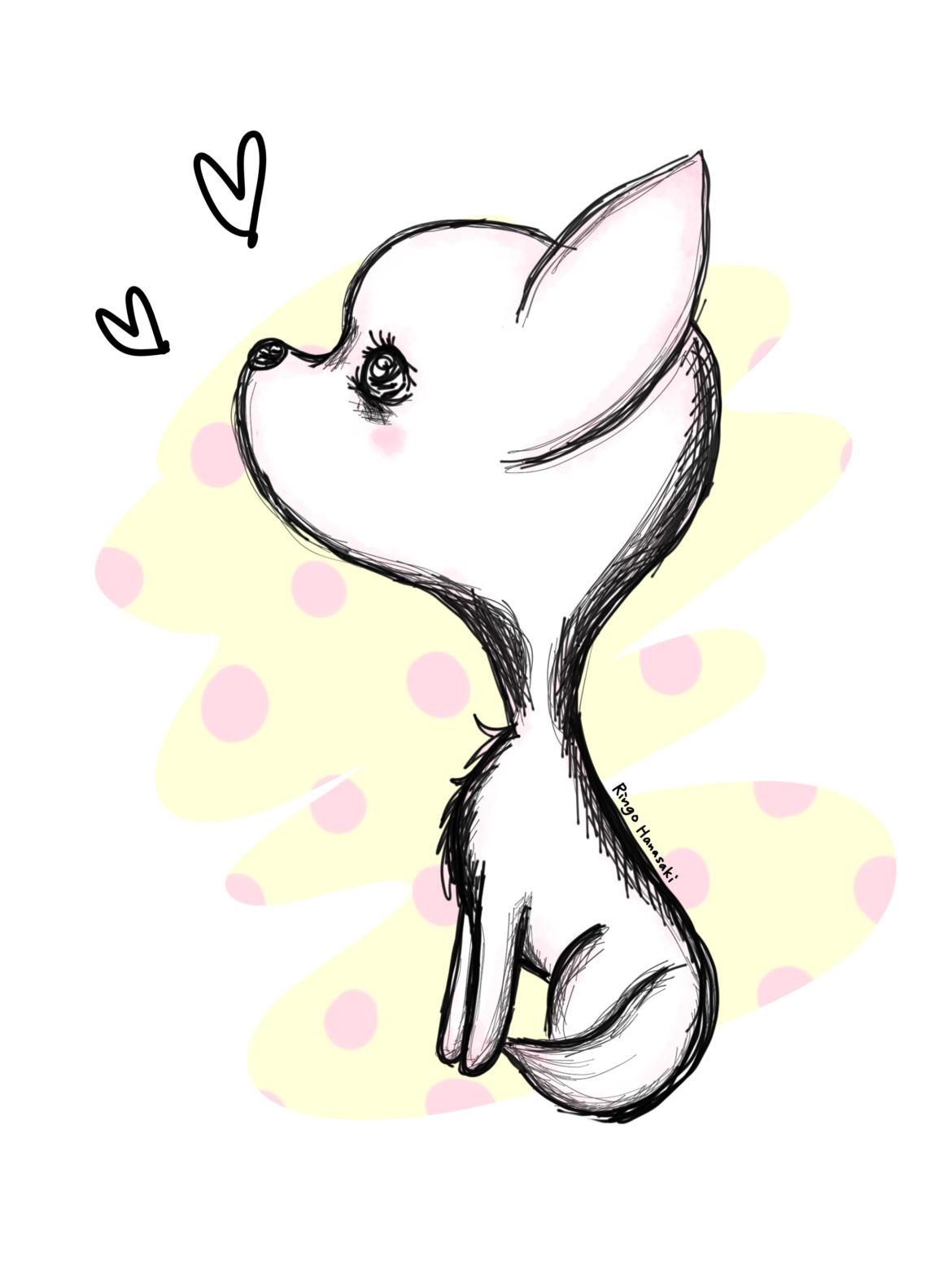 1170x1560 Tiny Chihuahua Puppy Ringo Hanasaki