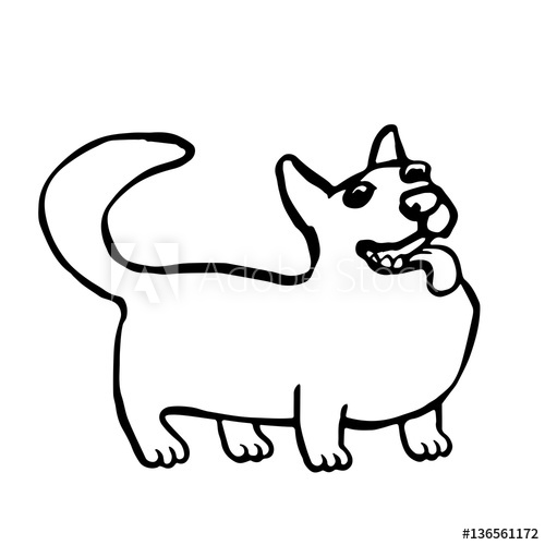 500x500 Corgi Dog Isolated Vector Illustration Funny Cartoon Fur Contour