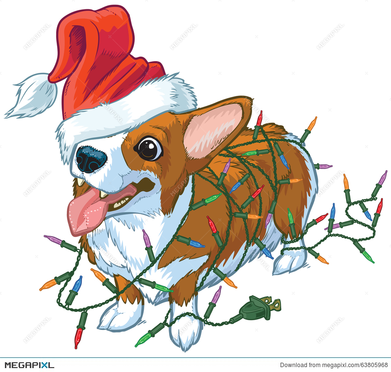 800x761 Corgi Dog With Santa Hat And Christmas Lights Vector Illustration