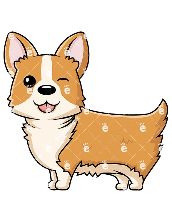 585x755 Corgi Paper Transparent Png Clipart Free Download