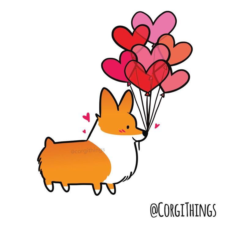 736x736 Corgi With Balloon Hearts