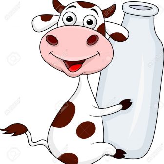 336x336 Cow Drawing Color And Parts Anatomy Cute Sketch A Easy I Fertility