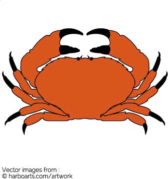 335x355 crabs clipart free download on scubasanmateo