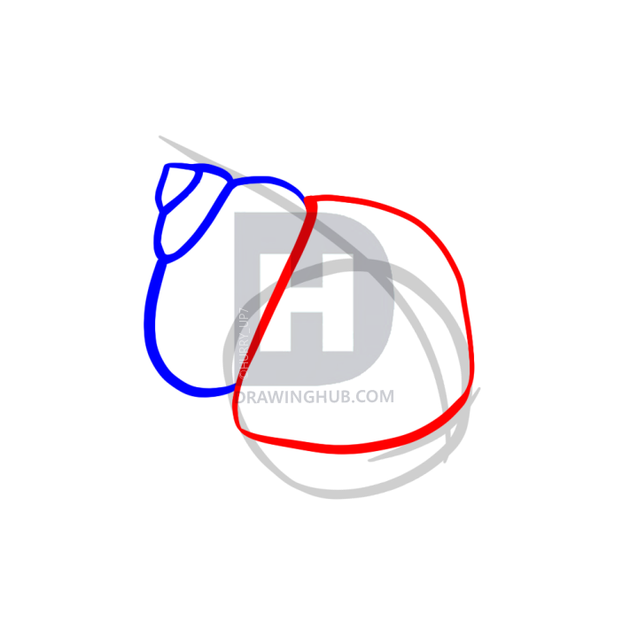 720x720 How To Draw A Cute Cartoon Hermit Crab, Step