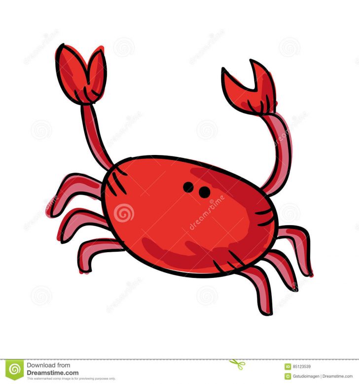 728x778 Crab Drawing Pictures Colored Pencil Art Chalk Black And White Dog