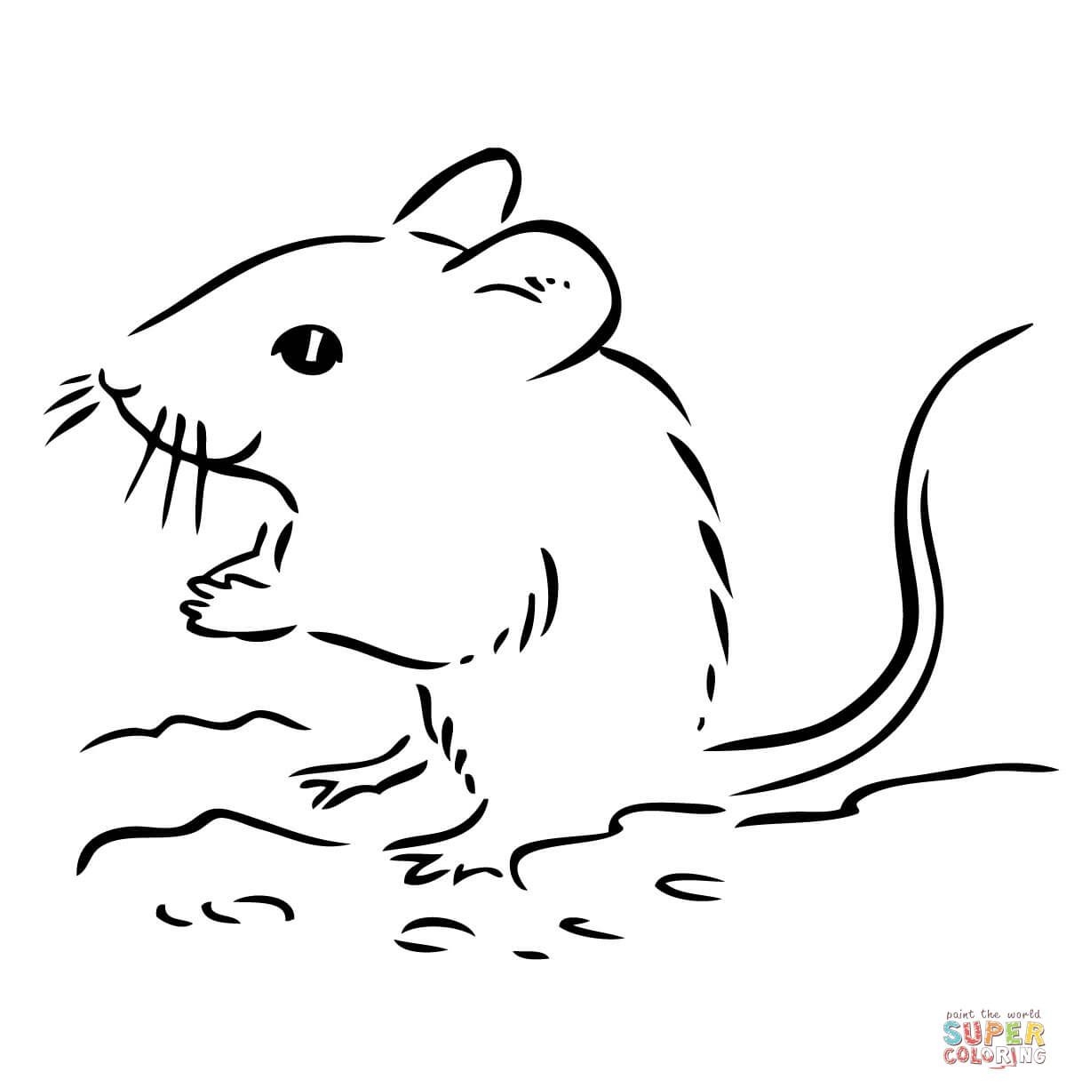 1200x1224 Cute Deer Mouse Coloring
