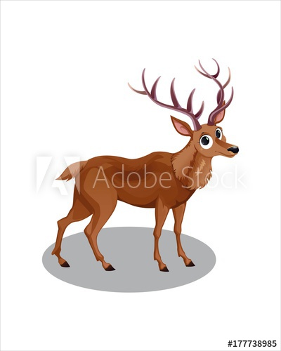 400x500 Cute Deer With Big Eyes