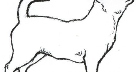 471x250 Cute Dog Drawings Cartoon Funny Anime For Beginners Christmas Hot