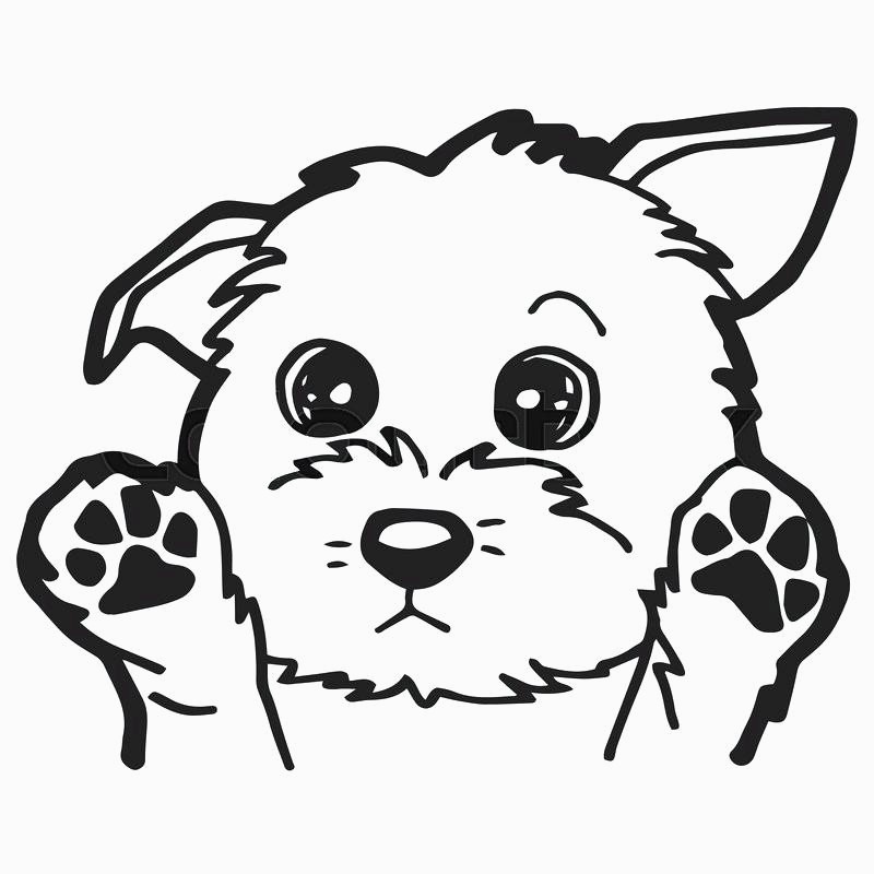 800x800 Cute Cartoon Dog Drawing