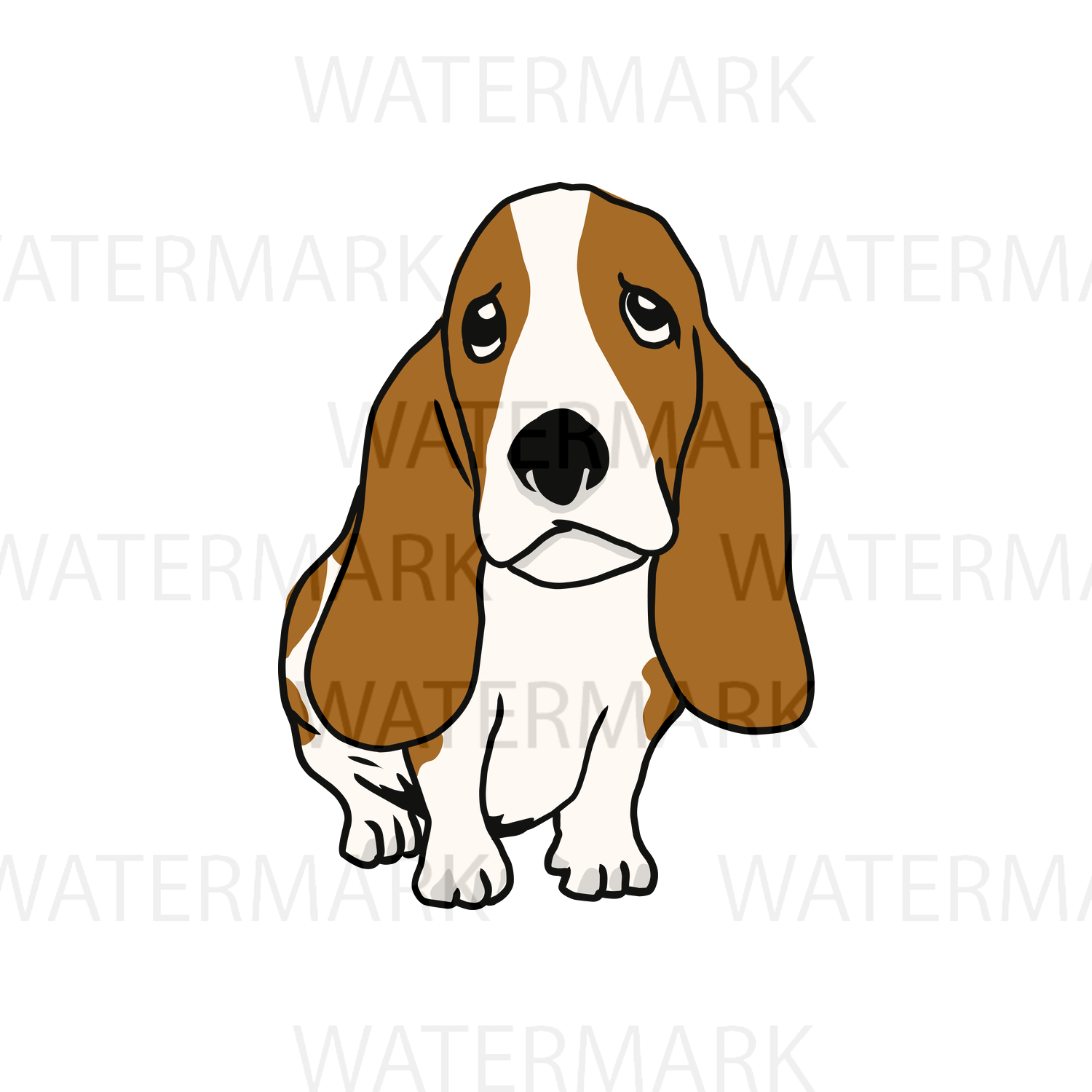 1500x1500 Cute Dogs C Basset Hound