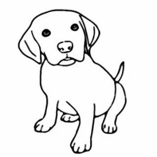 320x320 How To Draw A Cute Dog