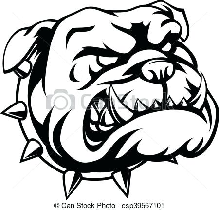 450x430 Bull Dog Drawings English Bulldog Drawing Easy
