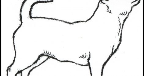 471x250 Easy Chihuahua Dog Drawing Head Angry Cute Outline Pictures