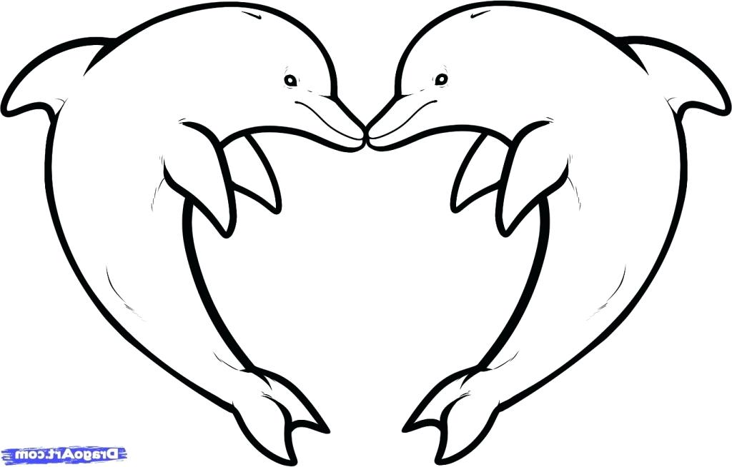Cute Dolphin Drawing