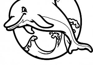 300x210 How To Draw A Baby Dolphin Baby Dolphin Drawing At Getdrawings