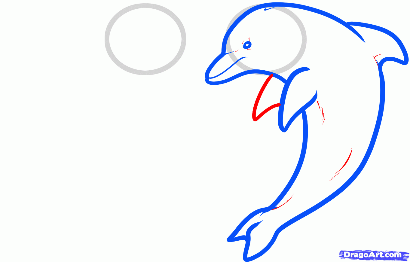 1364x872 How To Draw A Real Dolphin