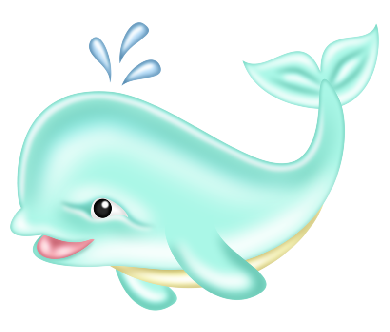 800x681 Collection Of Free Dolphin Drawing Cute Download On Ui Ex