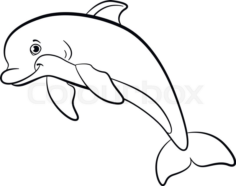 800x630 Coloring Pages Marine Wild Animals Stock Vector Colourbox