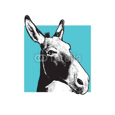 400x400 Donkey